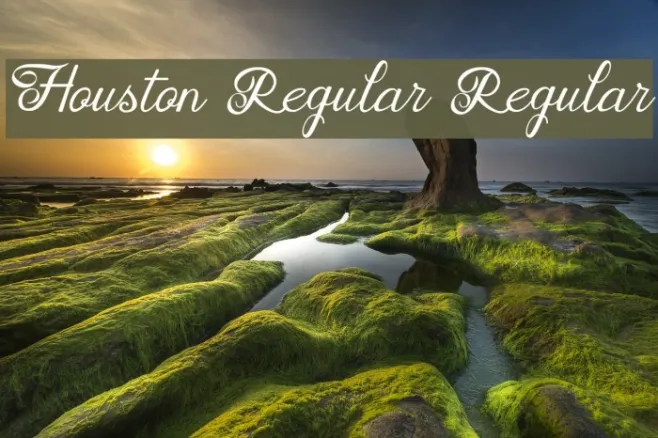 Houston Regular Regular Example 3