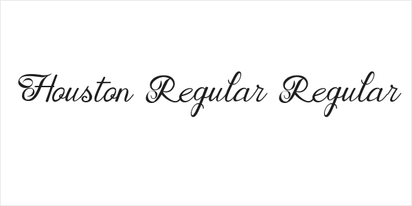 Houston Regular Regular Logo