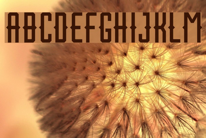 HoustonSportFree-Regular Font examples