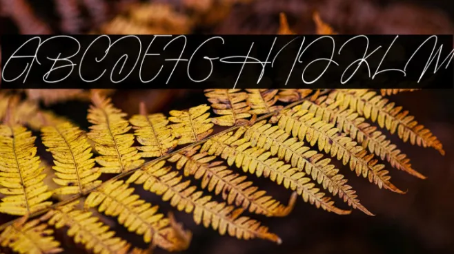 Housttely Signature Example 2