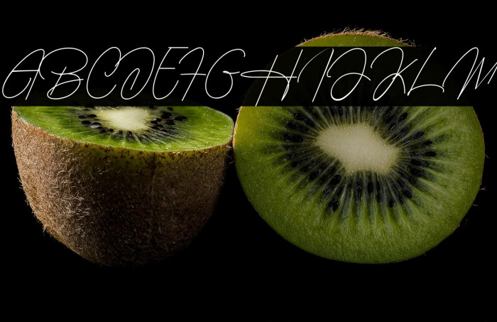 Housttely Signature Example 3