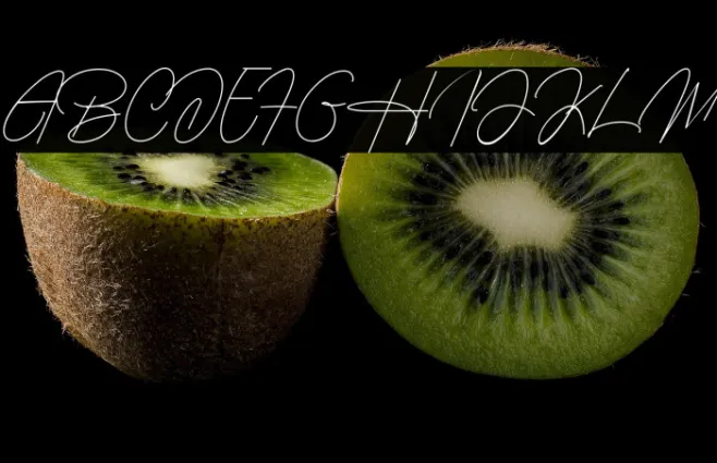 Housttely Signature Example 3