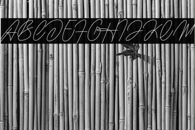 Housttely Signature Schriftart examples