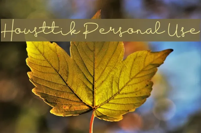 Housttik Personal Use Example 2