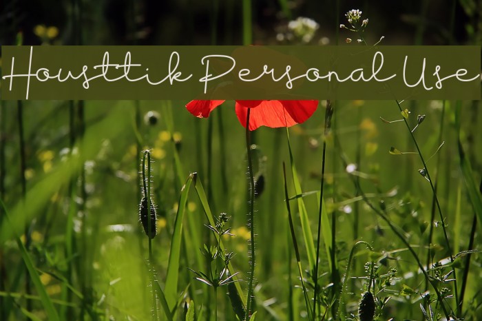 Housttik Personal Use Font examples