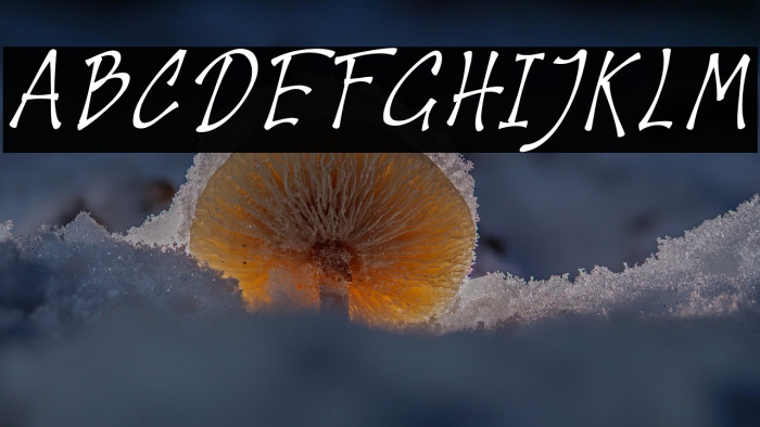 Houthman Italic Example 1