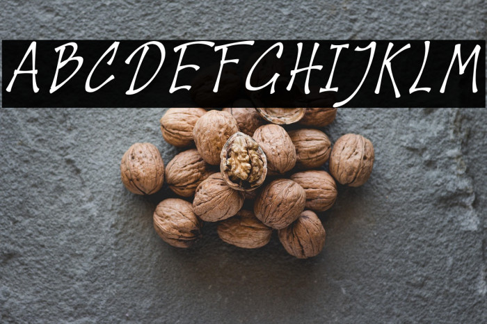 Houthman Italic Example 2