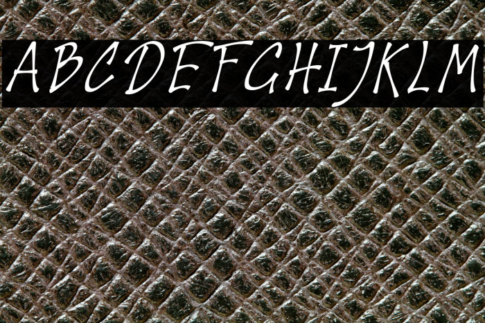 Houthman Italic Example 3