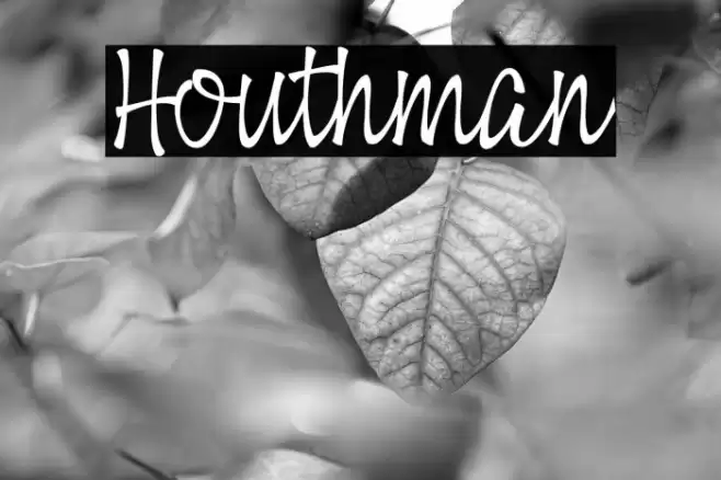 Houthman Font examples