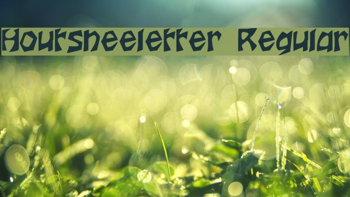 Houtsneeletter Regular Example 1