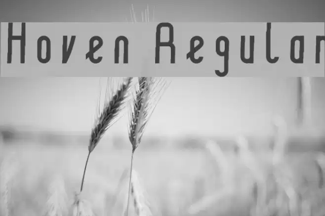 Hoven Regular Font examples