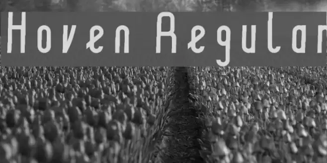 Hoven Regular Font examples