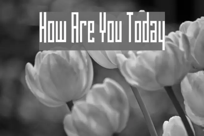 How Are You Today Font examples