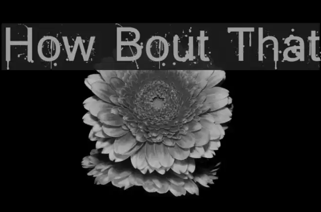 How Bout That Font examples