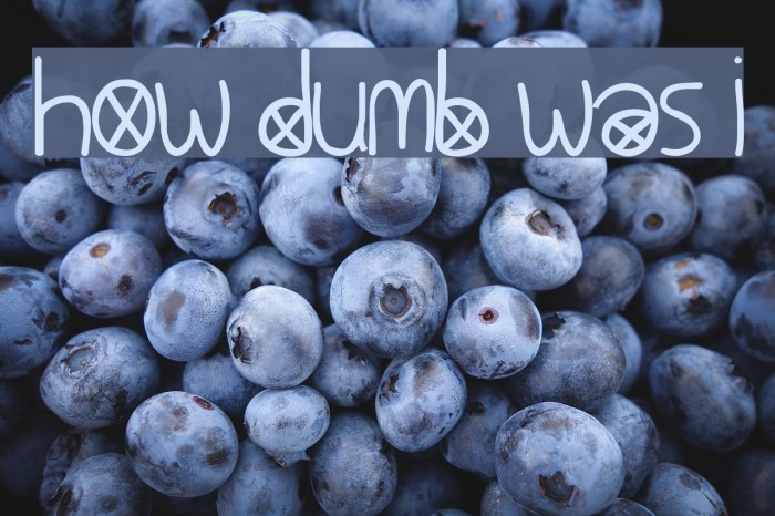 How Dumb Was I Font examples