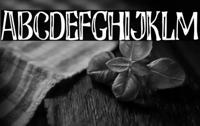 How Is Your Mom フォント examples