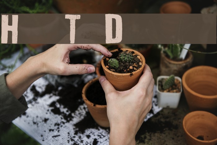 How To Disappear Font examples