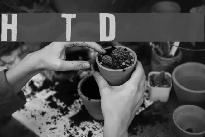 How To Disappear Font examples