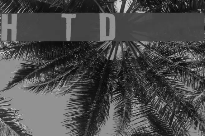 How To Disappear Font examples