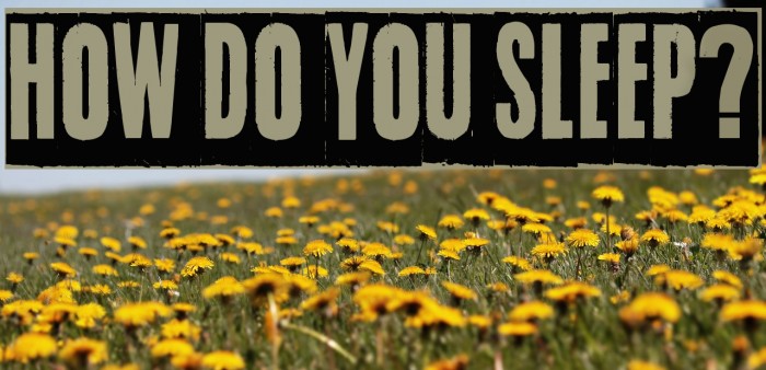 How do you sleep? Font examples