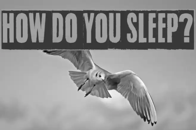 How do you sleep? Font examples