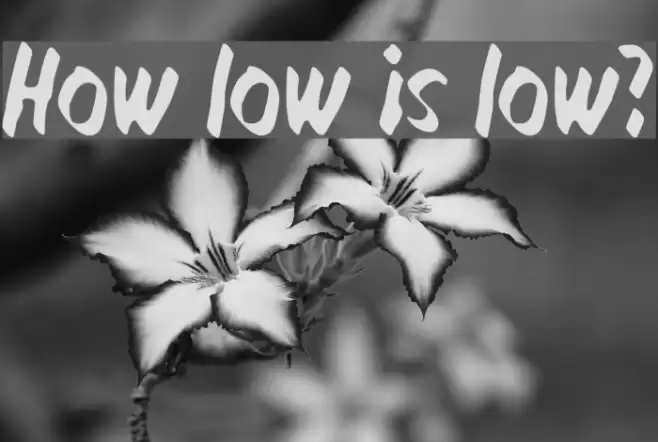 How low is low? Font examples