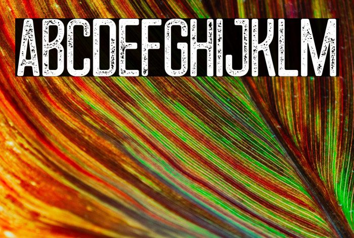 HowDareYou Example 3