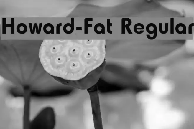 Howard-Fat Regular Caratteri examples