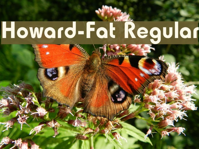 Howard-Fat Regular Font examples