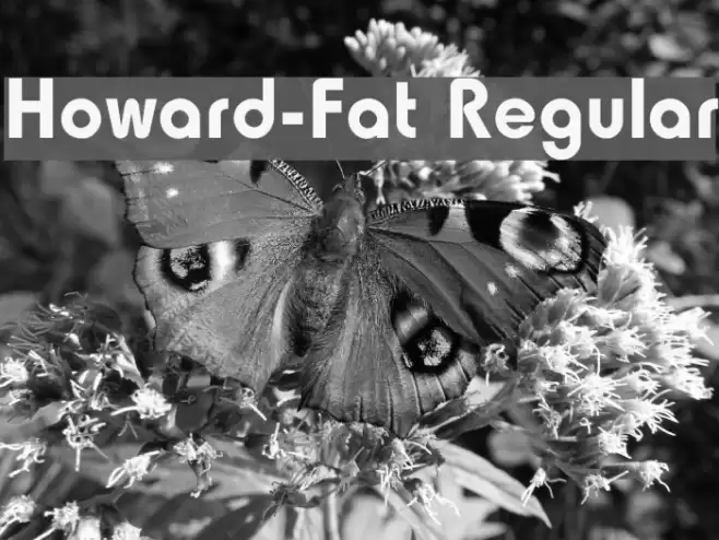 Howard-Fat Regular Caratteri examples