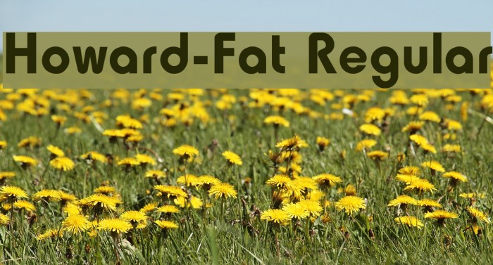 Howard-Fat Regular Font examples