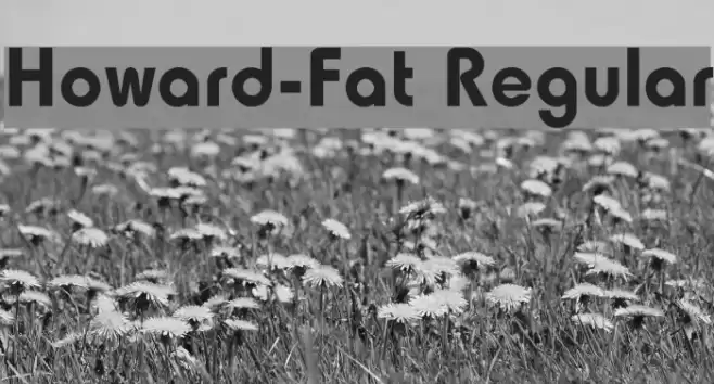 Howard-Fat Regular Caratteri examples