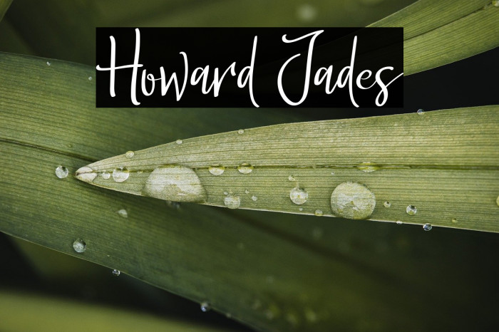 Howard Jades Example 2