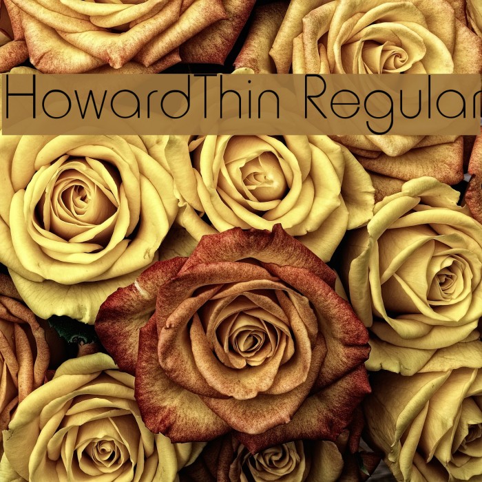 HowardThin Regular Font examples