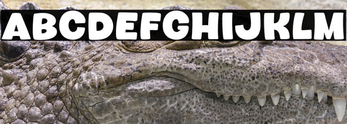 Howdy Bird Example 2