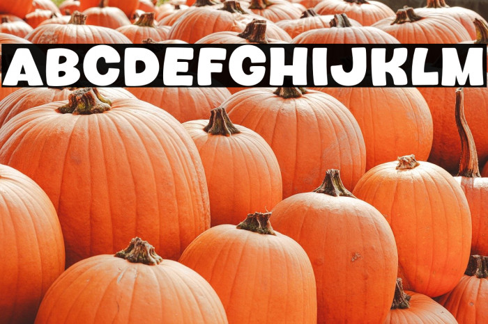 Howdy Bird Example 3