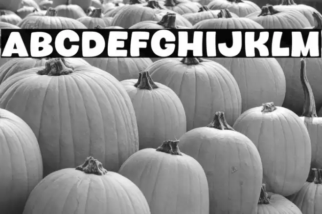 Howdy Bird خط examples