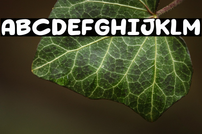 Howdy Comic Example 3