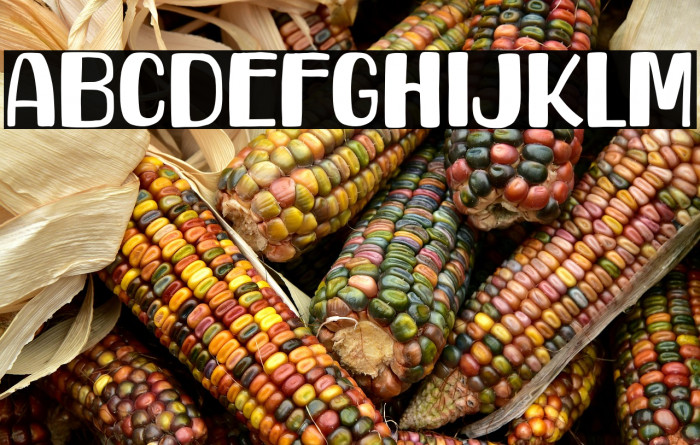 Howdy Friend Example 1