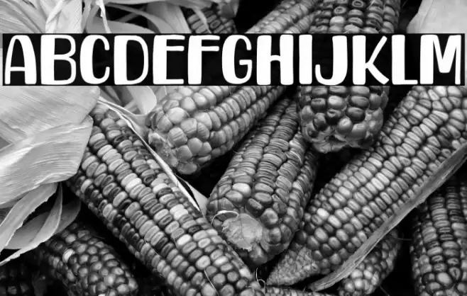 Howdy Friend Font examples