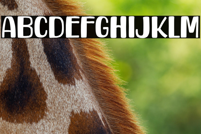 Howdy Friend Example 3