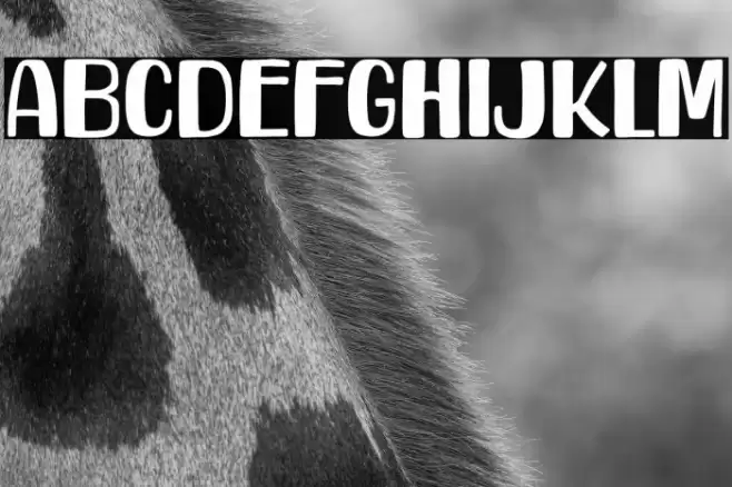 Howdy Friend Font examples