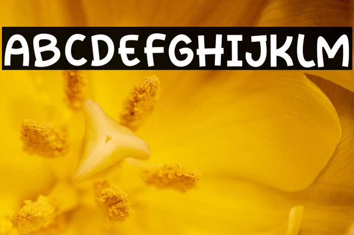 Howdy Frog Example 1