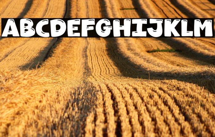 Howdy Koala Example 1