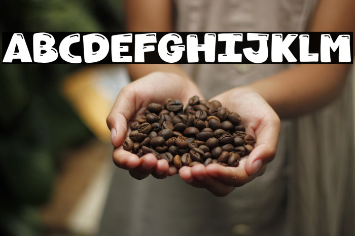 Howdy Koala Example 3