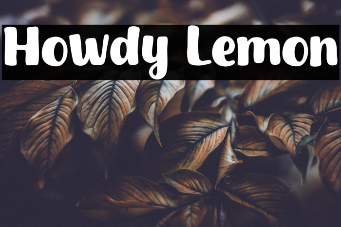 Howdy Lemon Example 2