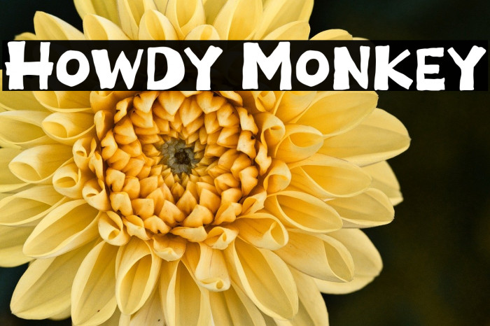 Howdy Monkey Example 3