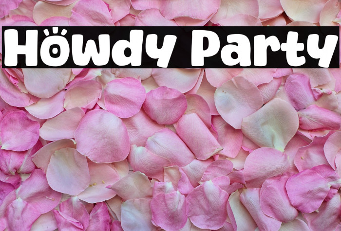 Howdy Party Example 1