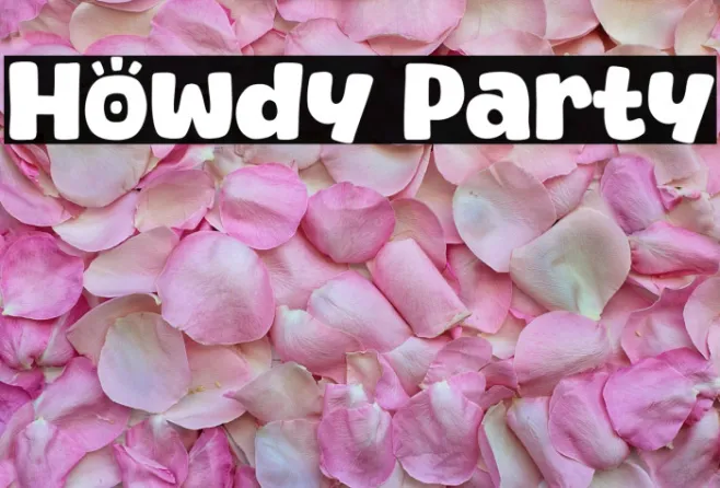 Howdy Party Example 1