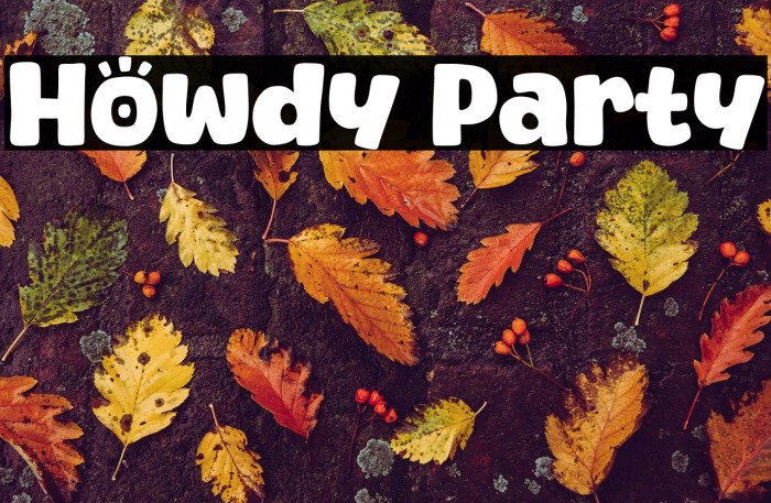 Howdy Party Example 2
